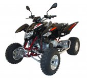 2011 Triton Baja 300 photo